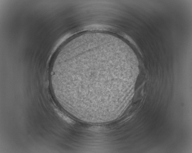 X0000080741075200701121930