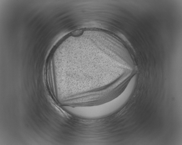 X0000080741076200701121930