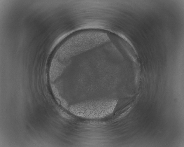 X0000080741077200701121930