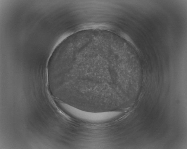 X0000080741079200701121930