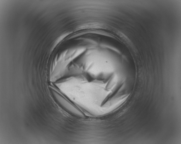 X0000080741081200701121930