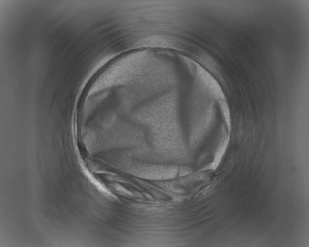 X0000080741084200701121930