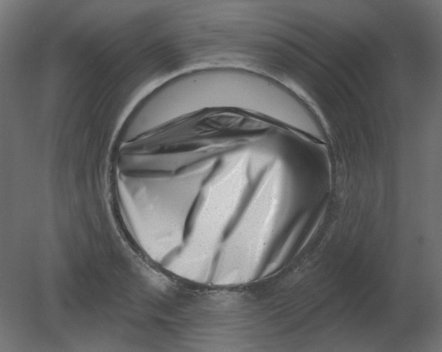 X0000080741085200701121930