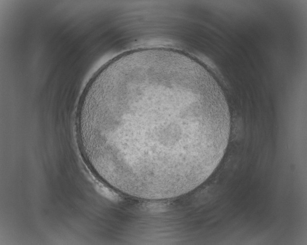 X0000080741086200701121930