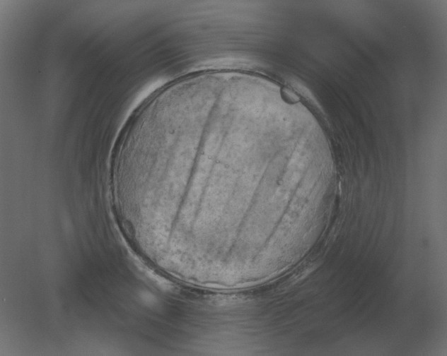 X0000080741087200701121930