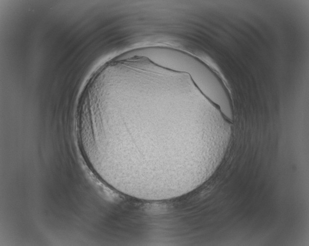 X0000080741088200701121930