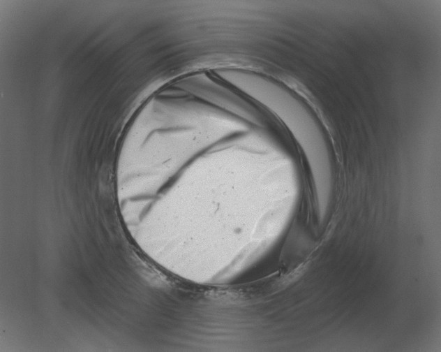 X0000080741089200701121930