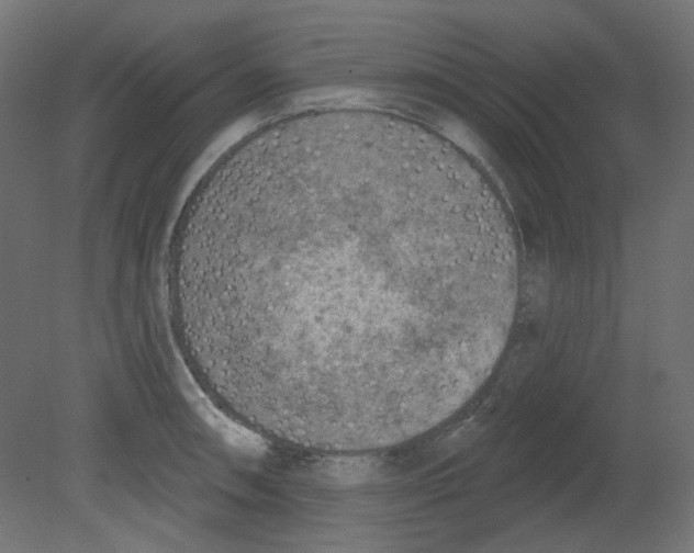 X0000080741090200701121930