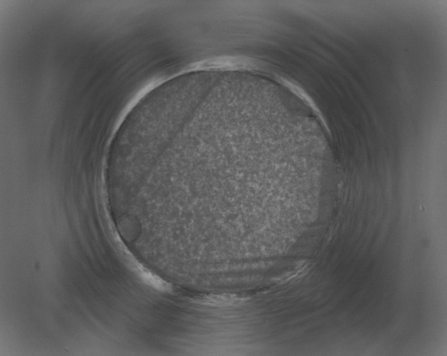 X0000080741091200701121930