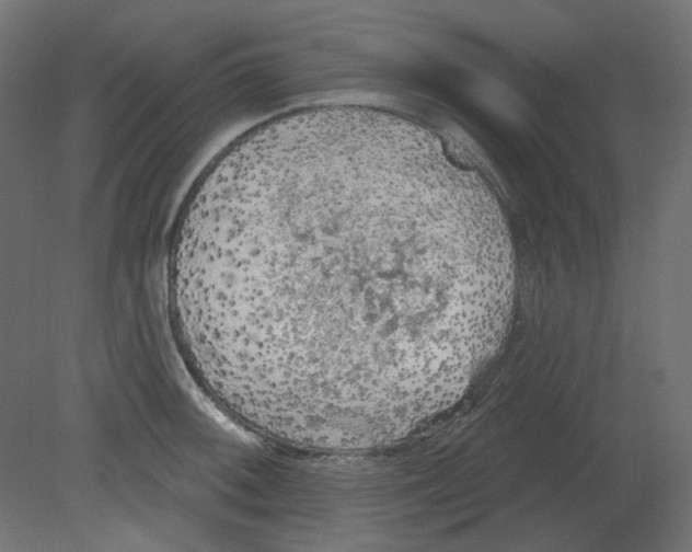 X0000080741092200701121930