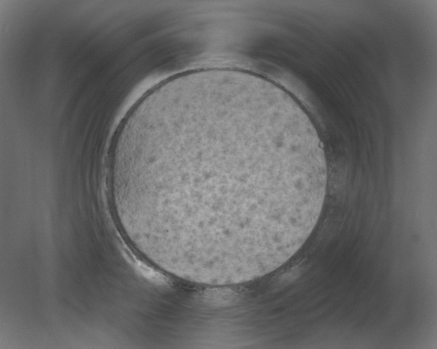 X0000080741094200701121930