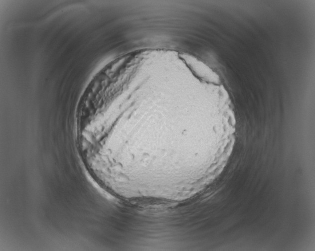 X0000080741095200701121930