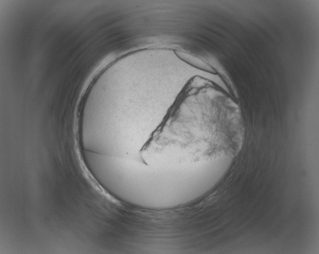 X0000080741096200701121930