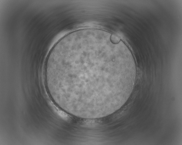 X0000080741098200701121930