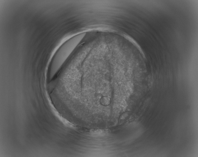 X0000080741099200701121930