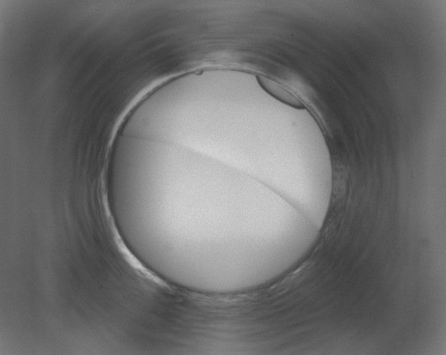 X0000080741100200701121930