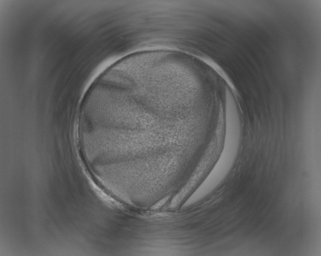 X0000080741101200701121930