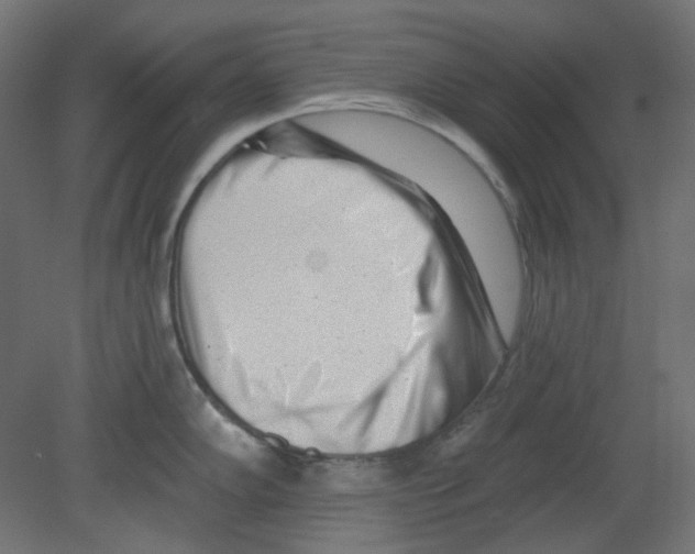 X0000080741102200701121930