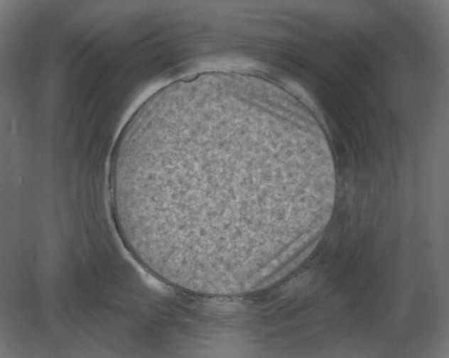 X0000080741103200701121930