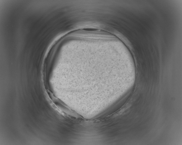 X0000080741104200701121930