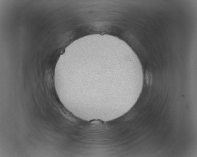 X0000080741107200701121929