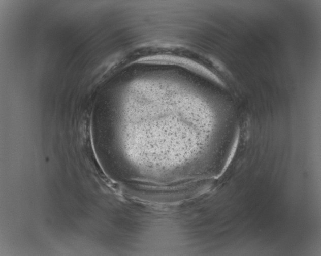 X0000080741110200701121929