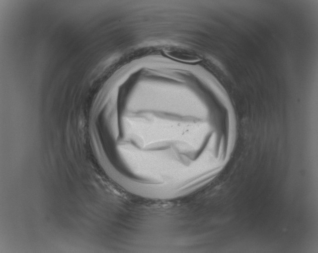 X0000080741111200701121929