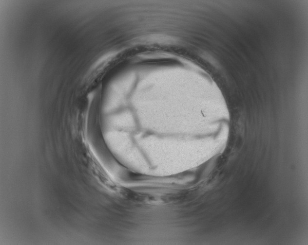 X0000080741112200701121929