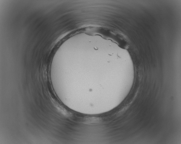 X0000080741113200701121929