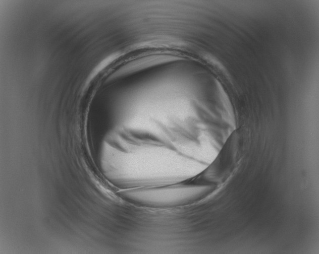 X0000080741114200701121929