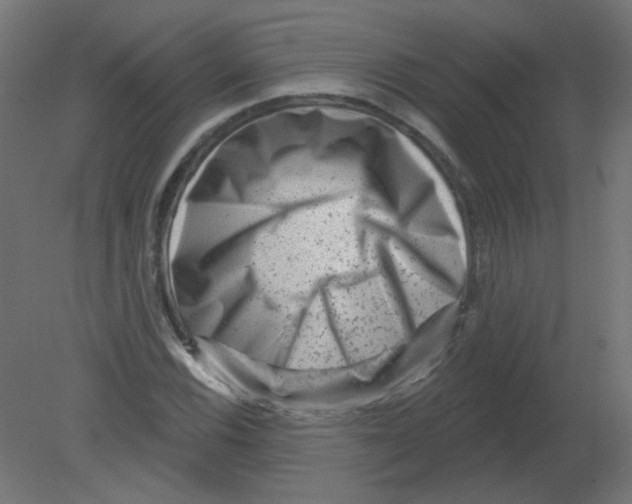 X0000080741116200701121929