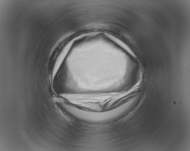 X0000080741117200701121929