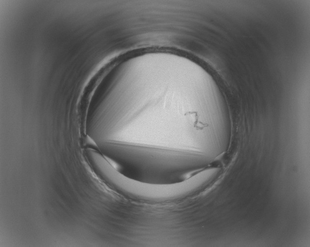 X0000080741118200701121929