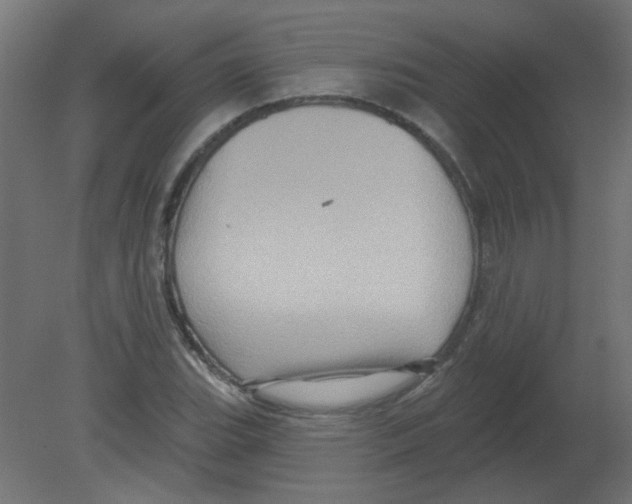 X0000080741119200701121929