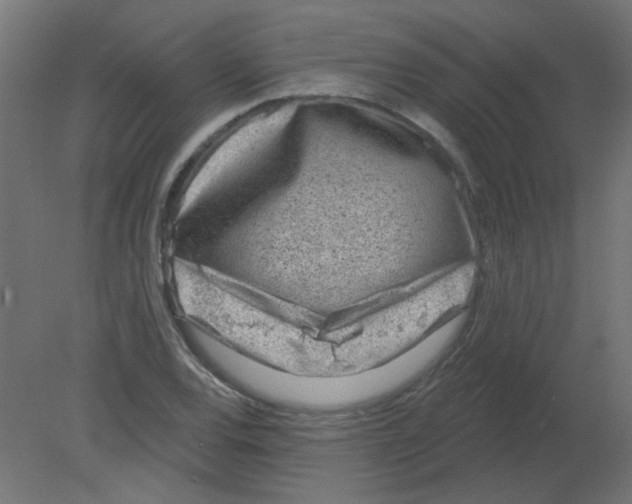 X0000080741120200701121929