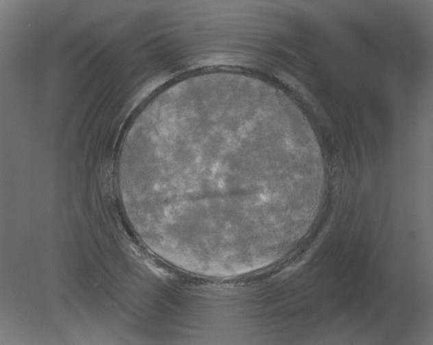 X0000080741121200701121929