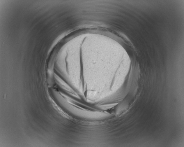 X0000080741122200701121929