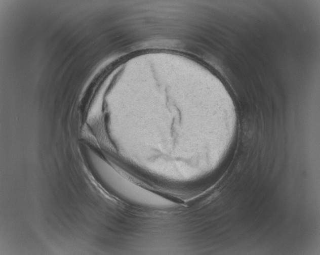 X0000080741123200701121929