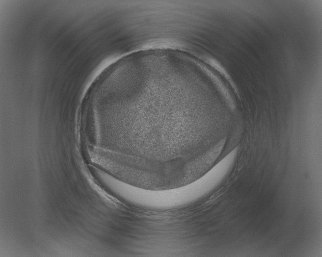 X0000080741124200701121929