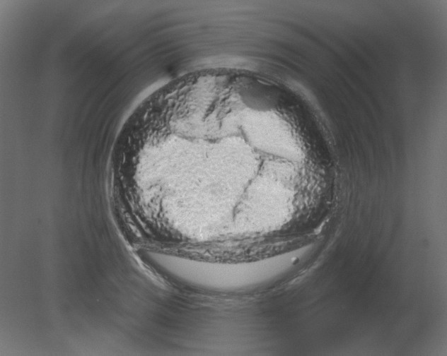 X0000080741125200701121929