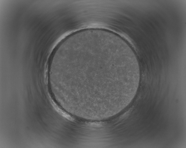 X0000080741126200701121929