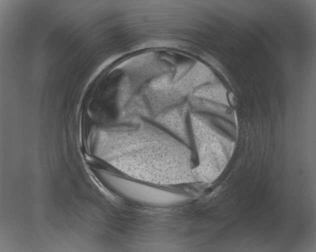 X0000080741127200701121930