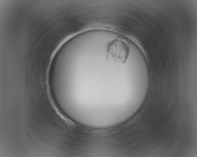 X0000080741128200701121930