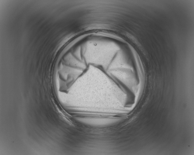 X0000080741129200701121930