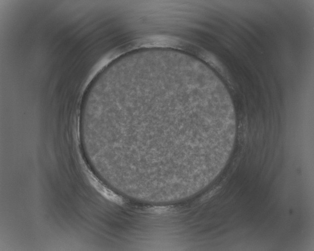 X0000080741130200701121930