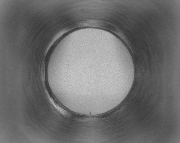 X0000080741131200701121930