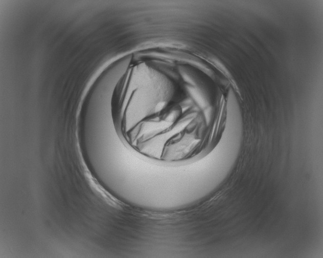 X0000080741132200701121930