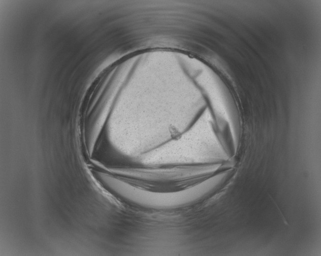 X0000080741133200701121930