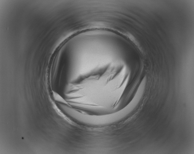 X0000080741134200701121930