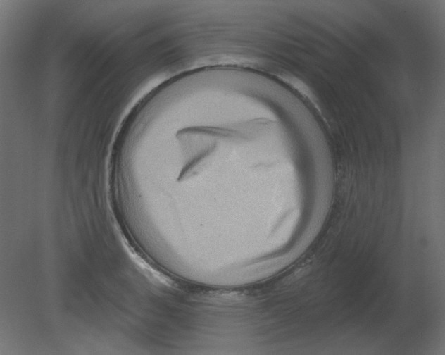 X0000080741135200701121930